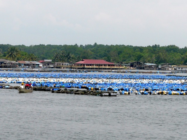 Malay fish farm